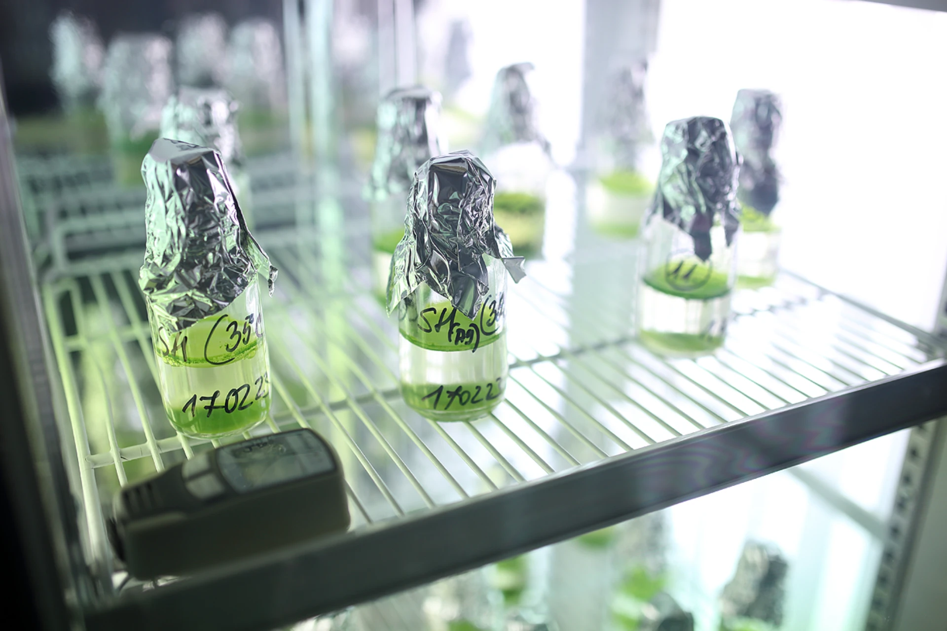 Quantitative and qualitative analysis of plant active substances Bay Zoltán Kutatóközpont