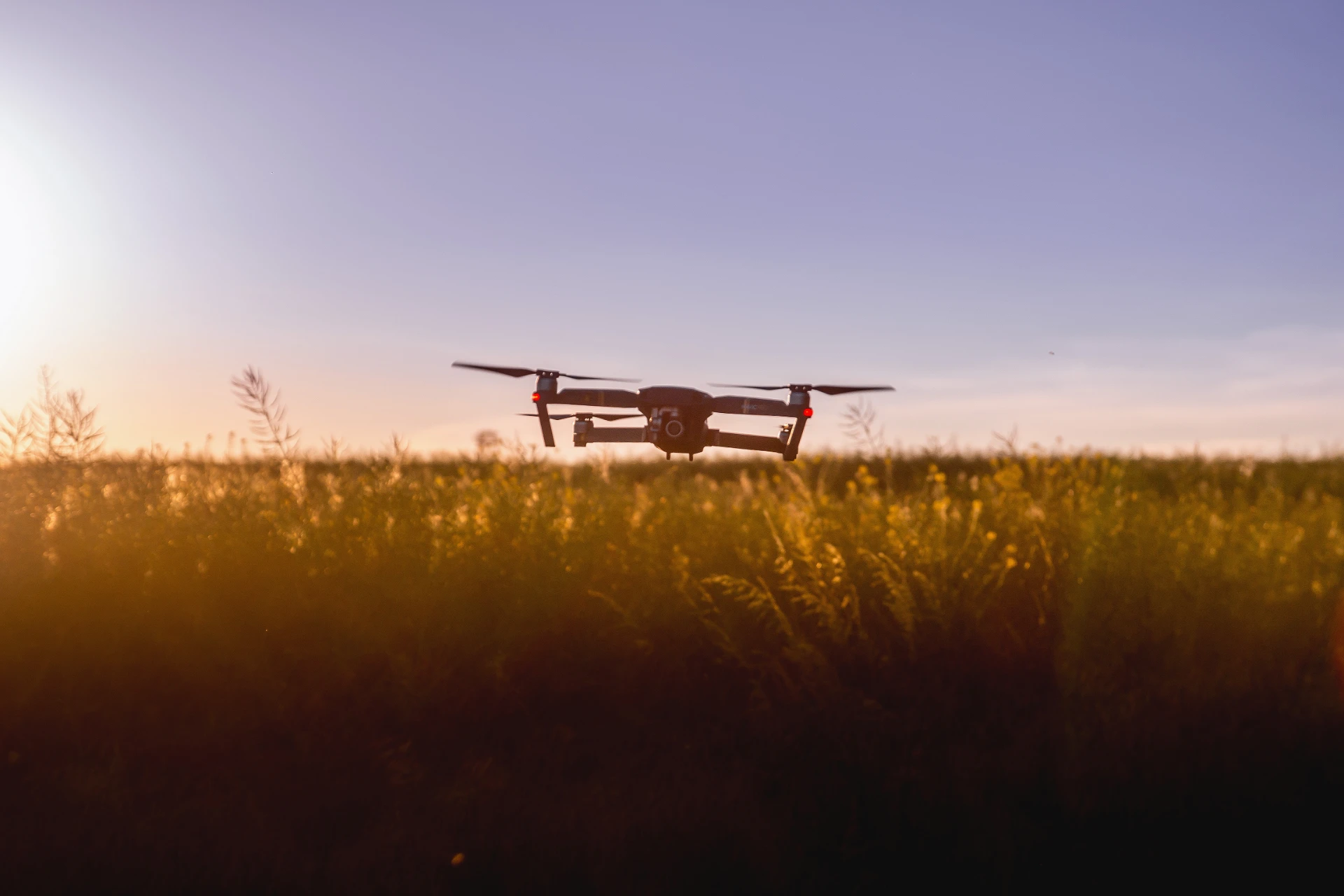 Environmental spatial and agri-informatics analyses, machine vision-assisted analyses - related to agriculture; Bay Zoltán Kutatóközpont